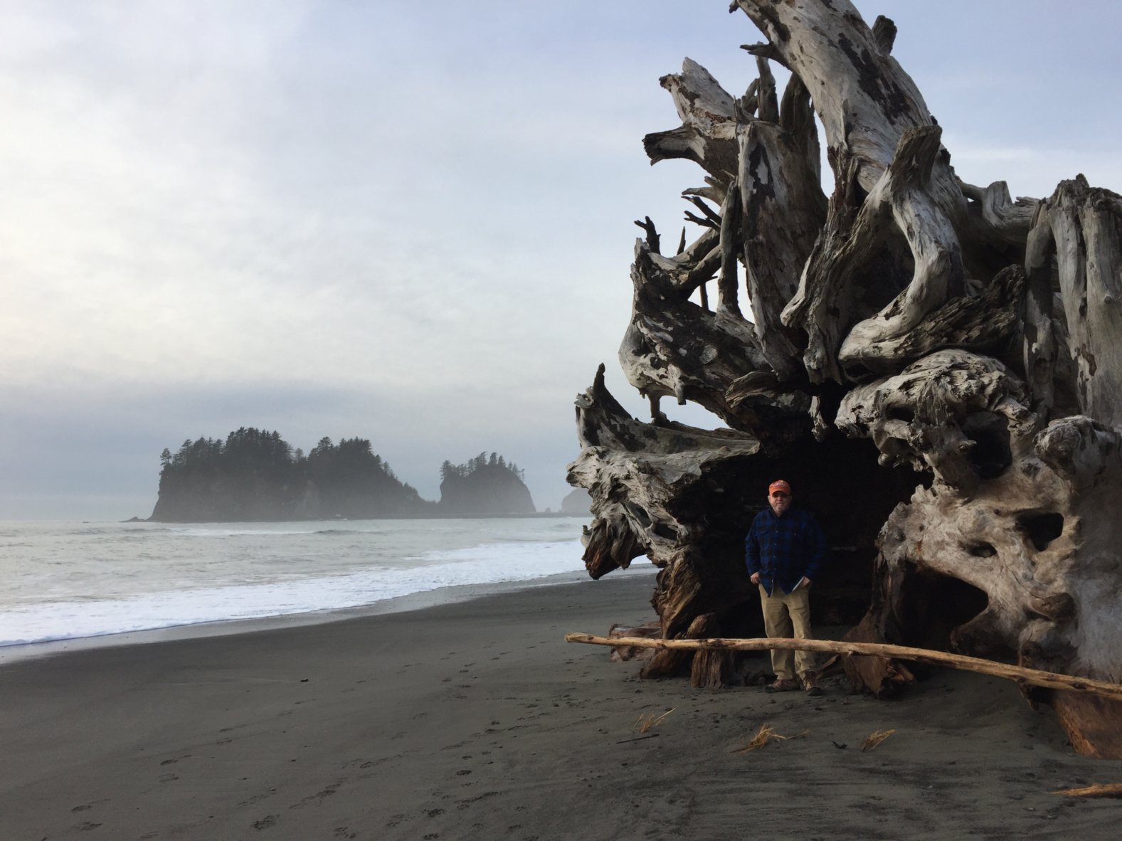 vxhpakjrobul85b-f246tlohfyndhz1cl38fmesof2cpx92ib