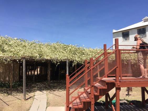 2018-04-11_11-48-32_974