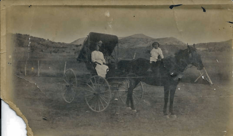 White Laura Willard in surry